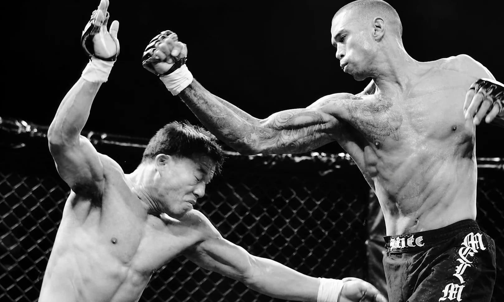 MMA program preview