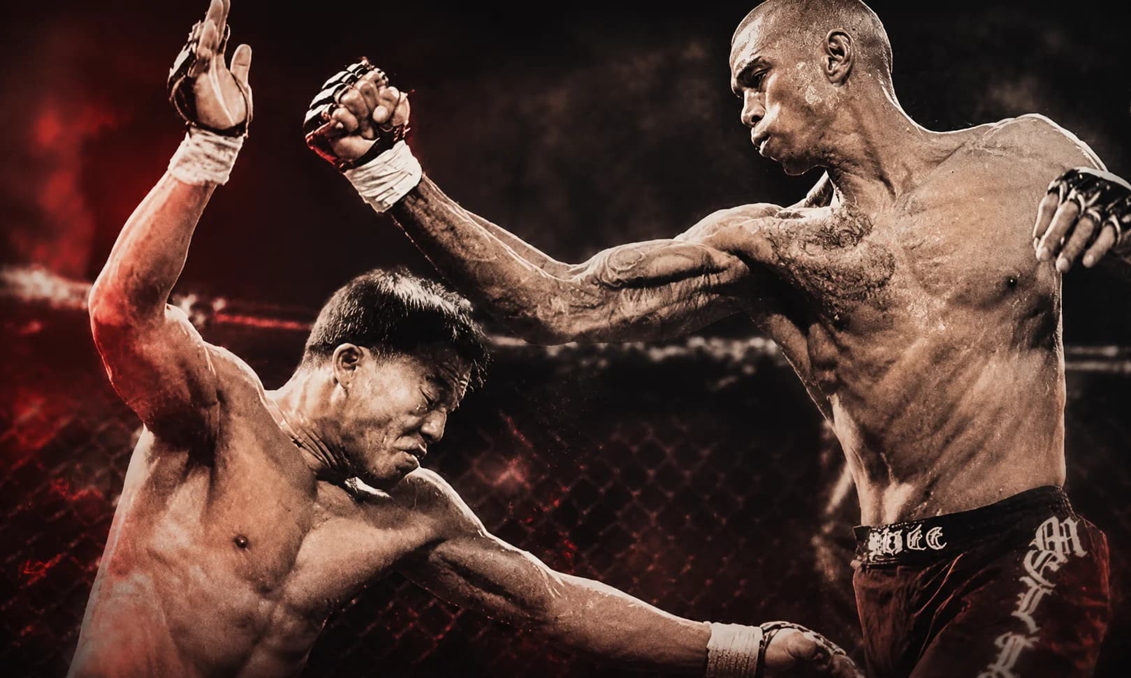 MMA program preview